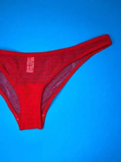 Yasmine EslamiJoanne Panty Mini Brief - Scarlet